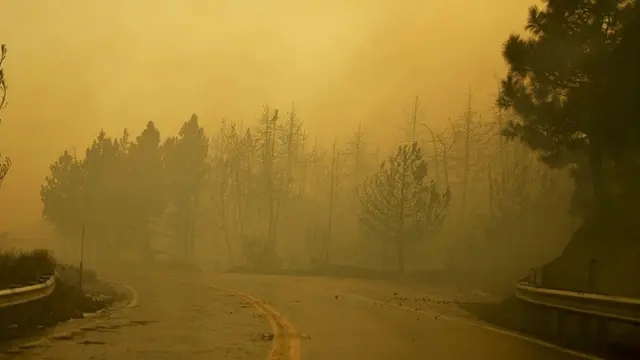 Penampakan kebakaran hutan di Running Springs, California, Amerika Serikat (AS), pada Sabtu (7/9/2024).