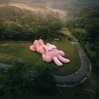 Setelah berkeliling ke Seoul hingga diluncurkan ke stratosfer, KAWS:HOLIDAY datang juga ke Indonesia.[Foto: Kaws]