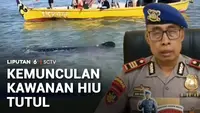 Kemunculan Kawanan Hiu Tutul di Perairan Jawa