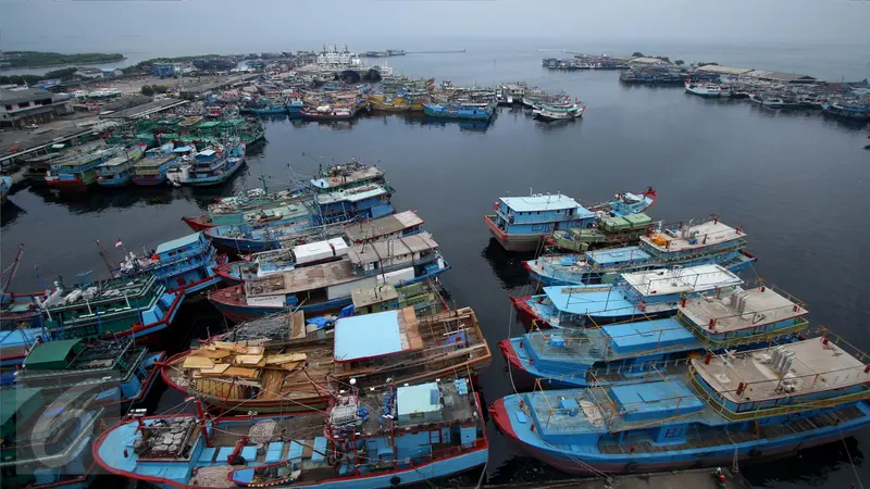 Menteri Susi mengungkapkan, salah satu wilayah nelayan yang paling dominan dalam penyumbangan pajak ini yaitu wilayah Muara Baru, Jakarta Utara. 