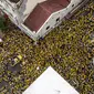 'Lautan Manusia' serba kuning di demo besar-besaran Malaysia menuntut PM Najib Razak mundur. (Reuters)