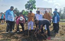 Rayakan Tri Suci Waisak 2570 BE, Umat Buddha Bulungan Tanam Pohon Bodhi di Kebun Raya Bundayati