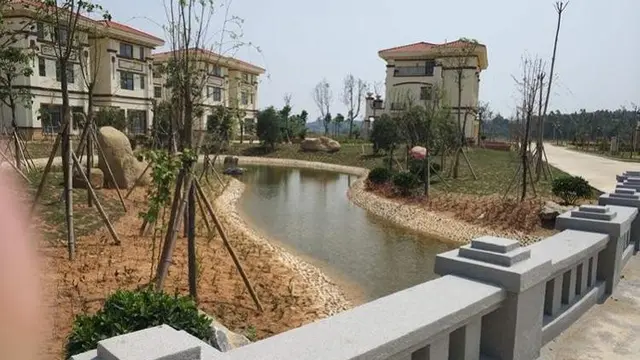 [Bintang] Konglomerat