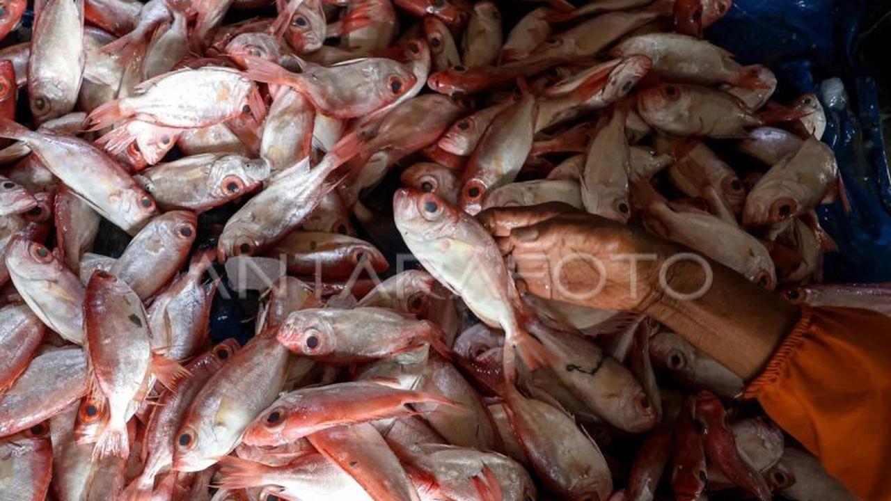 KemenKP Perketat Pengawasan Impor Ikan Demi Keamanan Pangan Nasional