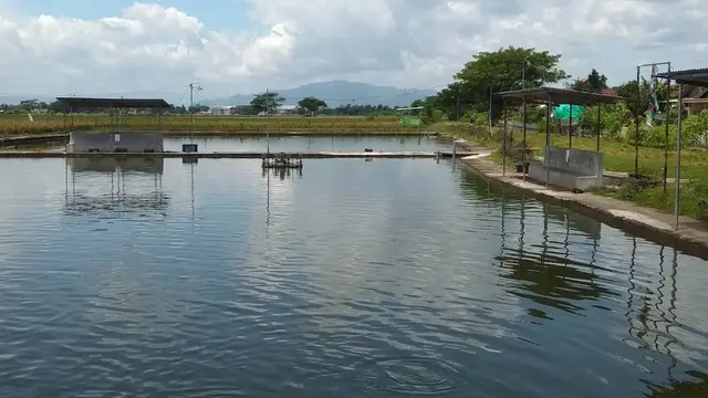 Spot Mancing Nyaman 2025 di Tulungagung