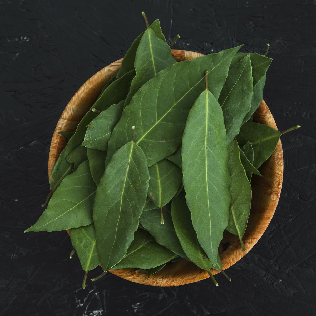 Ilustrasi Daun Kari