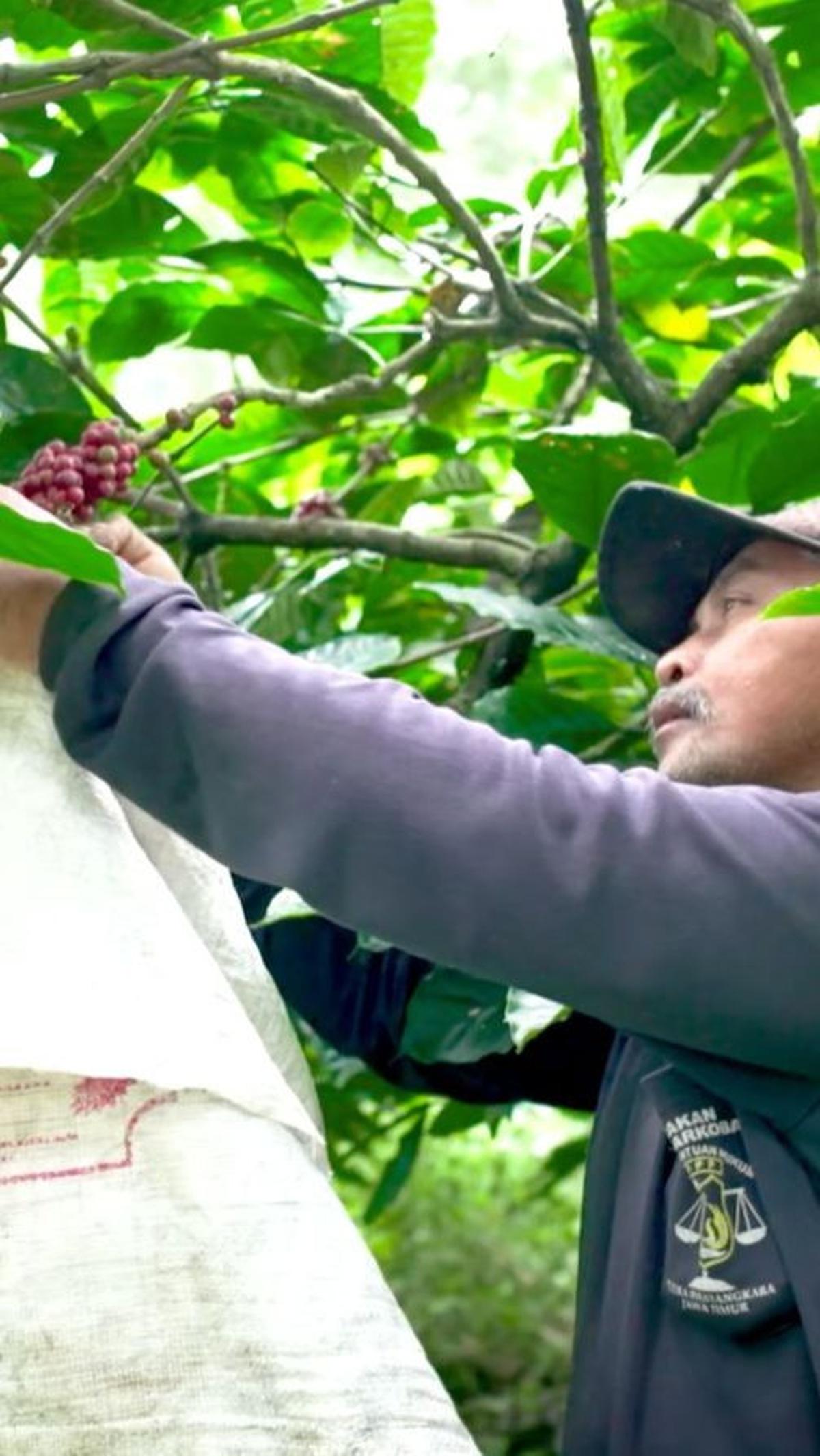 Di sisi lain, saat ini Desa Trawas juga tengah mengembangkan pariwisata di Bukit Bulak Songkro. Salah satu adalah menghadirkan wisata paralayang dan camping ground yang diharapkan mendongkrak perekonomian desa. <br>