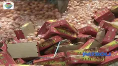Buah senilai sekitar Rp 7 miliar itu dimusnahkan karena masuk ke Indonesia tanpa izin impor.
