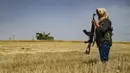 Di dekatnya, para petani bekerja keras di tengah panas terik, membajak ladang gandum sementara polisi Kurdi juga berpatroli di daerah tersebut. (Delil SOULEIMAN / AFP)