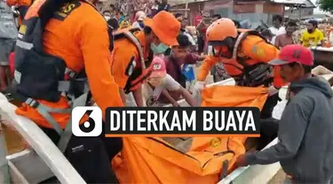 diterkam buaya