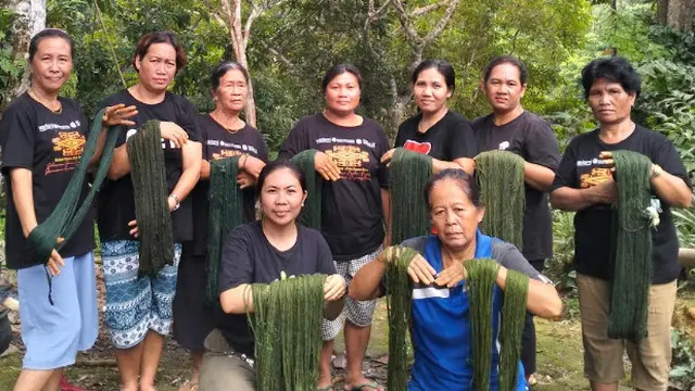 Eksploitasi Hutan Bikin Tradisi Tenun Kapuas Hulu Terancam, Perempuan Iban Lakukan Upaya Pelestarian Sekaligus Konservasi. Foto: Endo Segadok.
