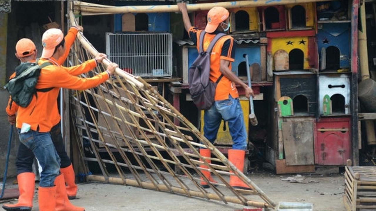 Antisipasi flu burung, kandang unggas di bantaran Ciliwung dibongkar