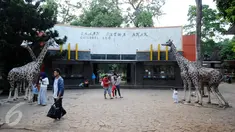 Sejumlah pengunjung berjalan di depan Taman Satwa Anak Kebun Binatang Ragunan, Jakarta, Rabu (9/12/2015). Pemerintah menetapkan libur nasional pada 9 Desember 2015 terkait pelaksanaan Pilkada Serentak. (Liputan6.com/Helmi Fithriansyah)
