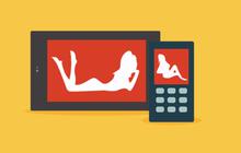 Polisi bekuk penjual dan produsen DVD Porno