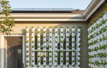 Lahan Sempit Bukan Masalah, 7 Model Halaman Belakang Rumah Kecil dengan Kebun Hidroponik Modern