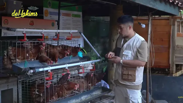 Potret Kandang Ayam dan Kambing di Rumah Irfan Hakim