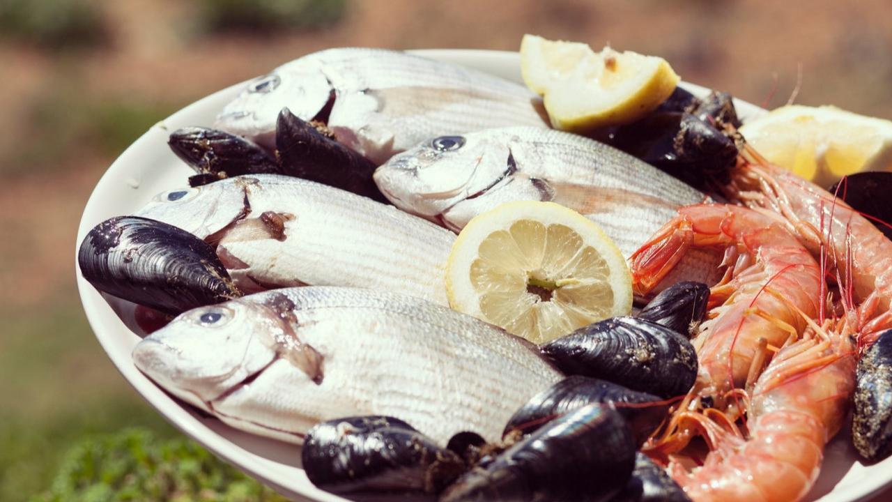 Seafood yang Tidak Mengandung Kolesterol Tinggi, Pilihan Sehat untuk Diet