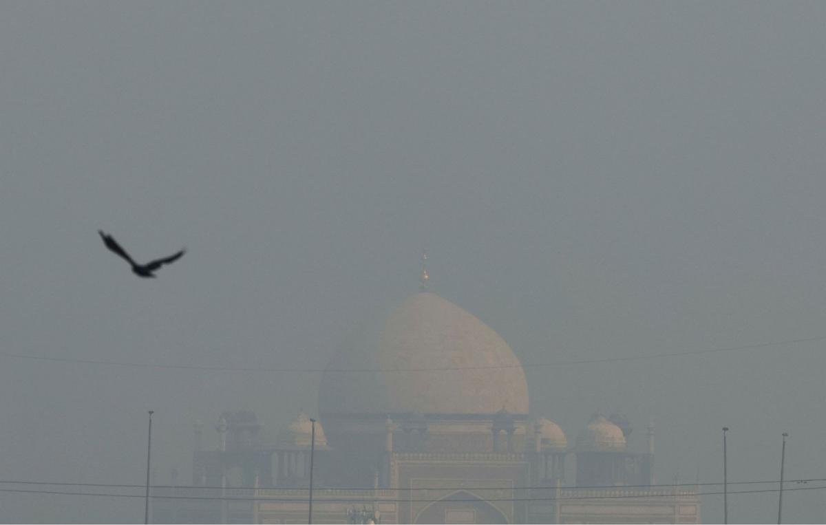 Penampakan Polusi Parah yang Cekik Warga New Delhi India