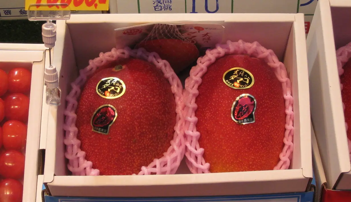 Taiyo no Tamago ini artinya Telur Matahari, yakni buah mangga yang berbentuk seperti telur. Satu buah mangga Taiyo no Tamago ini memiliki berat 350 gram. Dan, satu kotak terdiri dari dua buah seharga 38 juta. (www.flickr.com)