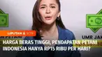 Belum lama ini Bank Dunia memberi informasi yang mengejutkan terkait kondisi petani beras di Indonesia. Pendapatan petani beras hanya sekitar Rp15.000 per hari atau sama saja dengan Rp5,1 juta per tahun. Lantas kenapa petani minim kesejahteraan ? Sel...