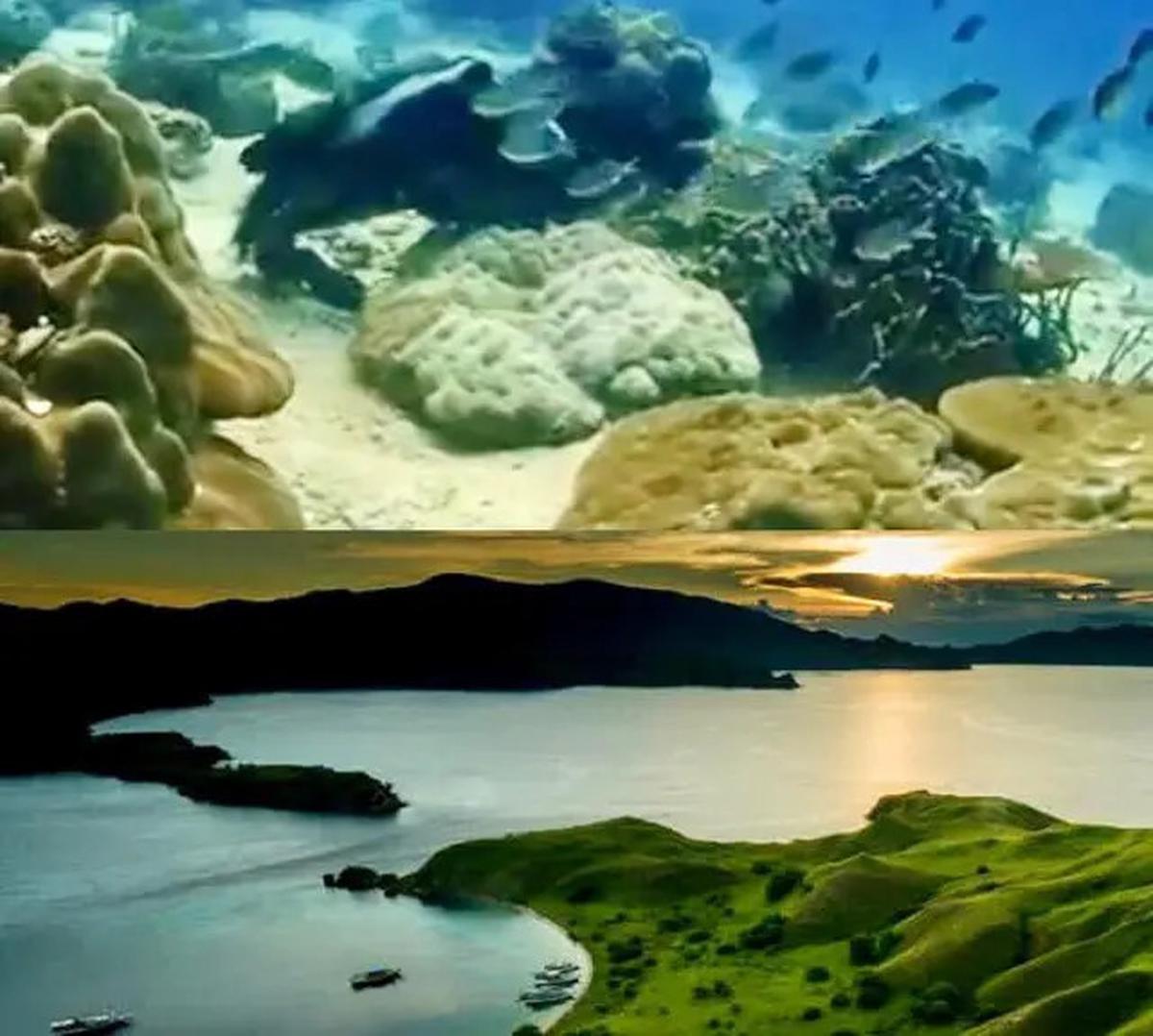 3 Taman Laut Indonesia Masuk Daftar Tempat Menyelam Terbaik di Asia Versi City Nomads, Apa Saja?