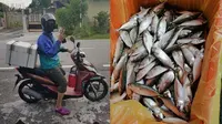 Kisah Pria yang Jualan Ikan. (Sumber: Twitter/ @daniahasrul)