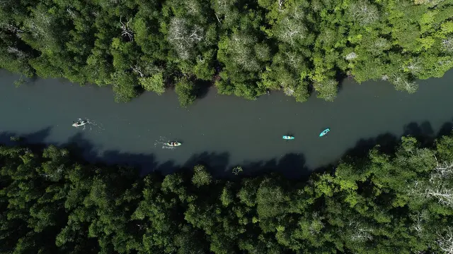 Cara Baru Isi Liburan di Sekitar Labuan Bajo, Naik Kayak Susuri Hutan Mangrove di Desa Wisata Tanjung Boleng