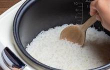 4 Langkah Ampuh Menjaga Nasi Tetap Lembap dan Tidak Mudah Kering
