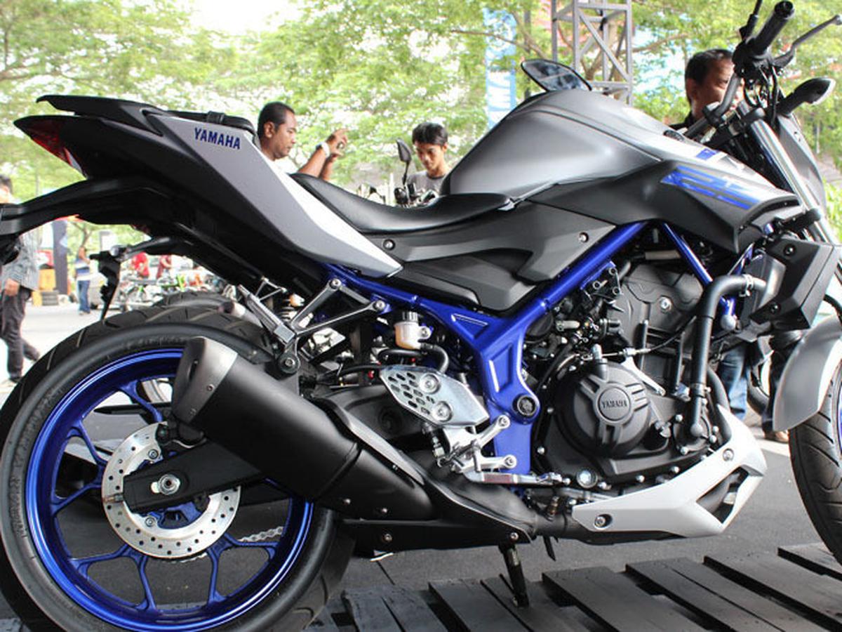 Yamaha r25 naked cheap