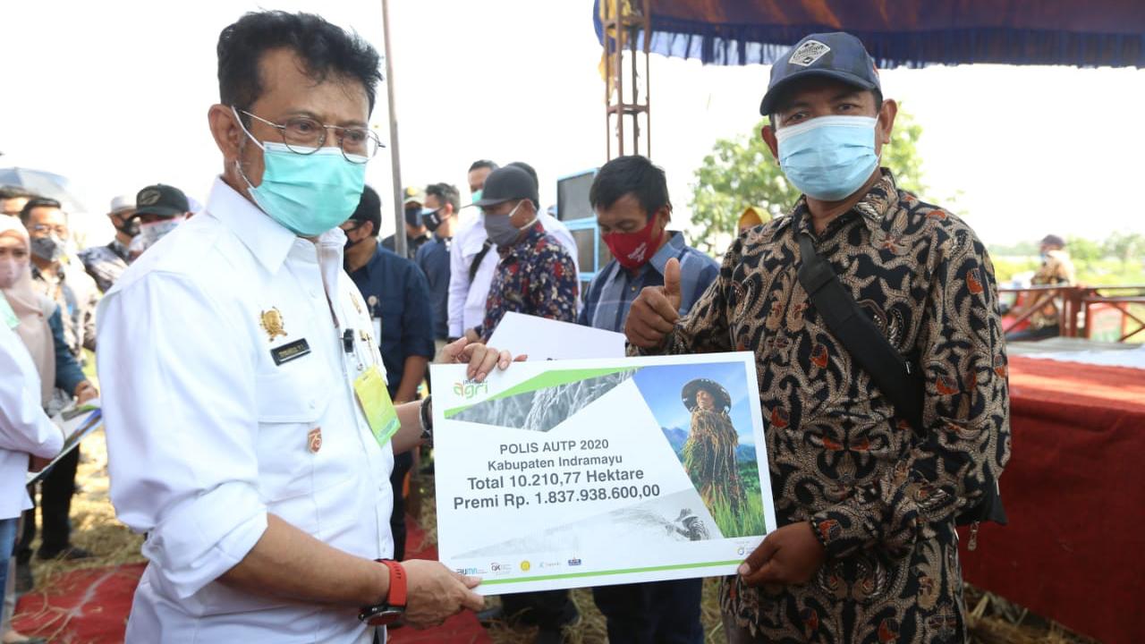 10.210.77 Ha Lahan Tercover Asuransi, Pertanian Indramayu Dipastikan Aman