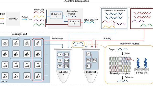Komputer Cair dari DNA