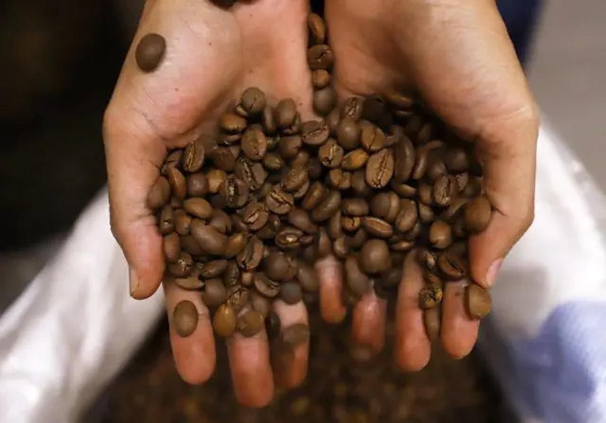 Cara Aman Minum Kopi Tanpa Risiko Asam Lambung