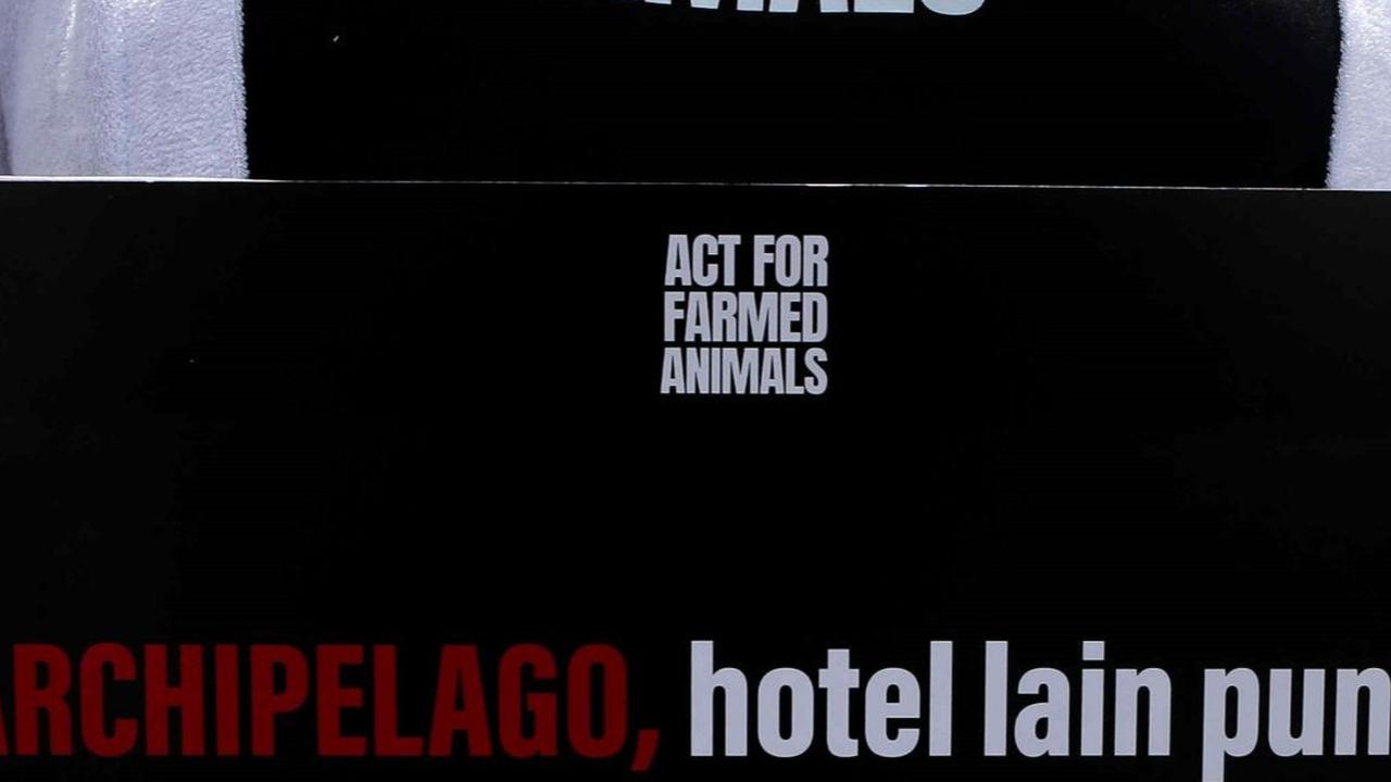 Diketahui grup manajemen hotel swasta Archipelago International menaungi 9 brand di Indonesia, seperti Aston, Harper, Fave, dan Alana.<br>( Foto Liputan6.com / Herman Zakharia )<br>