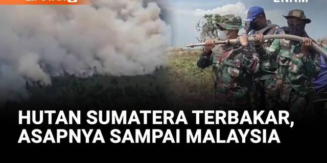 VIDEO: Asap Kebakaran Hutan Sumatera Sampai Malaysia, Titik Api Terus Meluas di Riau