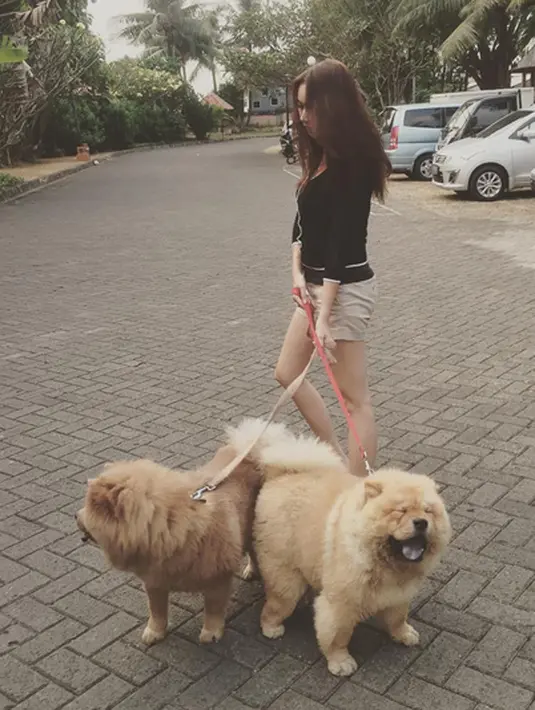 (via instagram/@aurakasih)