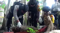 Warga Jombang digegerkan dengan penemuan bom raksasa yang masih aktif.