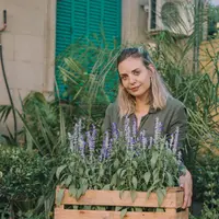 Beberapa tanaman ini dapat mengusir nyamuk (Credit: Freepik)