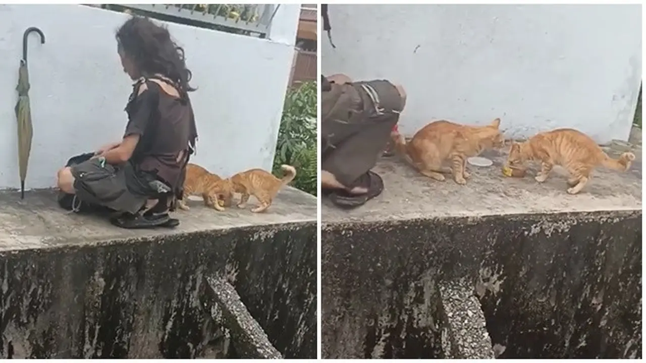 Bikin Salut, Pria Berpakaian Lusuh Ini Berikan Makanan ke Kucing Liar