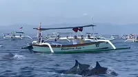 Wisata ke Pantai Lovina Bali, Bisa Berenang Bareng Lumba-Lumba hingga Snorkeling