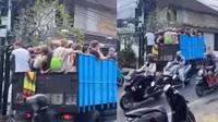 Rombongan bule naik truk sapi (Instagram/@fakta.indo)
