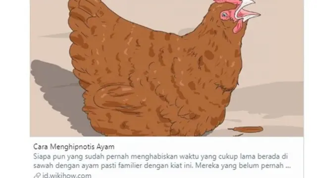 Nyeleneh, 6 Tutorial di Wikihow Bikin Enggak Habis Pikir