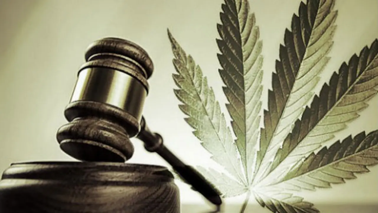 [Bintang] Fakta Ganja