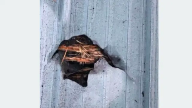 meteor jatuh saat wanita ini tidur