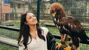 Sebuah kesempatan yang langka, Angie pun banyak mengabadikan momen seru tersebut saat berinteraksi dengan hewan-hewan yang jarang ia temui. Seperti dengan seekor burung elang ini. Tanpa rasa takut, ia pun mampu membawa sang elang untuk bertengger di tangannya. (Liputan6.com/IG/@angiemstwn)