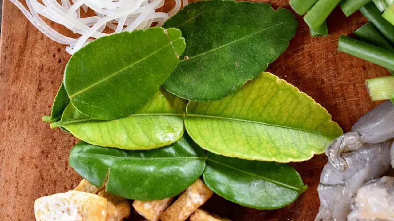 Pakai Bumbu Ini, Soto Ayam Biasa Jadi Seenak Warung Legendaris
