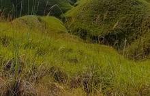 Selain Labuan Bajo, NTT Juga Punya Surga Dunia di Pulau Sumba