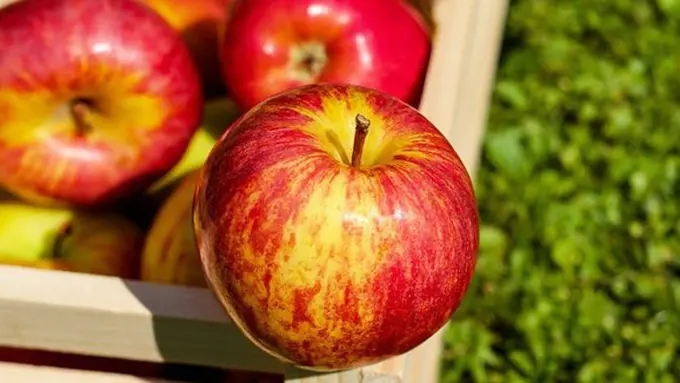 Copyright: pixabay.com