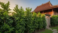 7 Pohon Buah di Halaman Rumah yang Tidak Disukai Ular Piton, Aman dan Rimbun