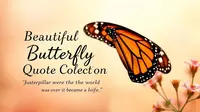 Beautiful Butterfly Quote Collection for Life and Love