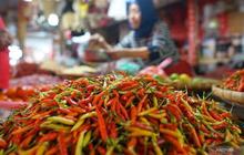 Bapanas Catat Penurunan Harga Pangan Nasional: Cabai Rawit dan Bawang Merah Turun Signifikan
